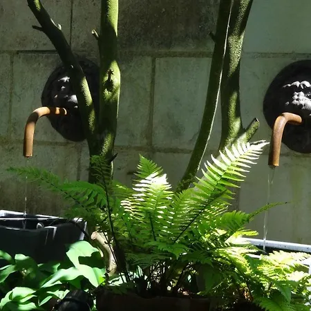 Bulles De Loire 4* Сомюр