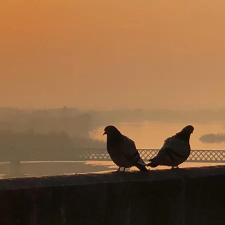 Bulles De Loire Сомюр