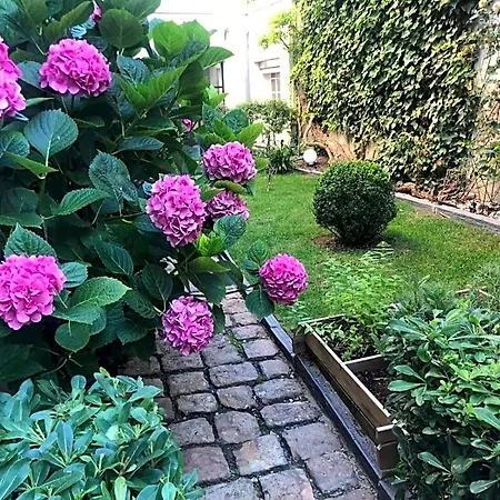Bulles De Loire Bed & Breakfast Saumur