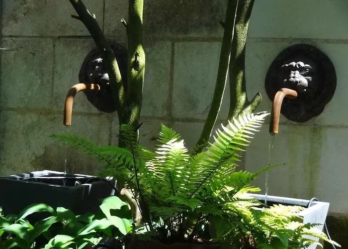 Bulles De Loire 4* Saumur