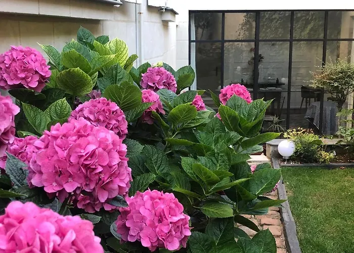 Bulles De Loire سوموور