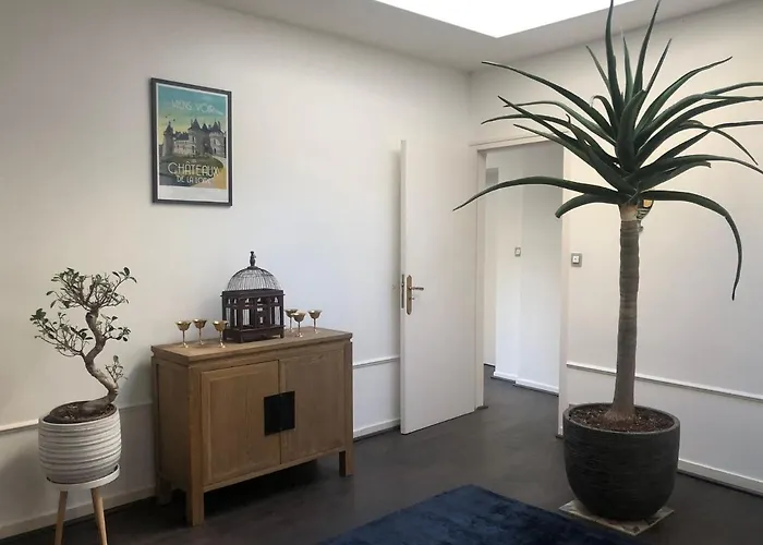 Bed & Breakfast Bulles De Loire 4*