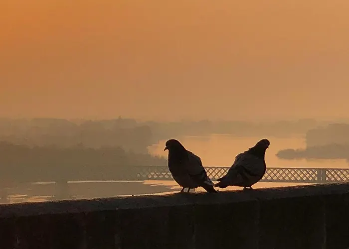 Bulles De Loire Saumur
